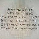 곽씨네야콘
