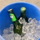송정회관 | [광주송정역 맛집] 행복회관, 송정역점 내돈내산 후기!