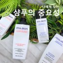 박승철헤어 광교레이크시티점 | 가장 중요한 건 에센스와 트린트먼트가 아닌 샴푸에요 광교 미용실 박승철헤어 광교레이크시티점 샴푸 후기