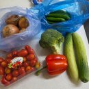 도나축산 | 샐러드 말고, 이제 동결건조로! 랩온랩 컬리케일 15포 맛있게 즐기는 법