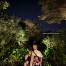 씨썬쌘드 | 씨 샌드 썬 리조트 파타야, 힐링 그 자체 풀빌라 강력 추천! 수영장/조식/야경/조경/황금절벽사원