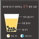 공차 Daum카페