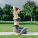 포돌이로 33 이미지