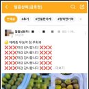 싱싱상회과일.야채