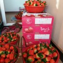 모정농장 이미지