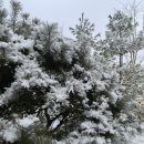 산단4길 네이버블로그