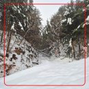 여강길(11코스 동학의길) 이미지