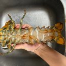 케이투엘 이미지