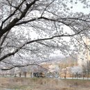 신안아파트후문 이미지