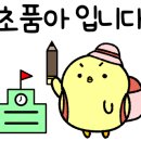 단지내베스트 부동산공인중개사사무소 이미지
