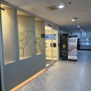 레푸스 정자점 | 분당 내성발톱, 문제성발톱 관리 후기 '레푸스 정자점' 정나리 푸스플레게