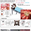 요엘1장 4 사과나무잎나방유충이 남긴 것을 메뚜기가 먹고, 남긴 것을 자벌레가 먹고, 남긴 것을 낙옆수잎천막벌레나방이 먹었도다 이미지