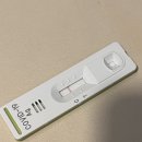 9월 셋째 주_긴팔 준비 중