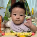 열두달수산