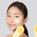 진동집