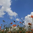 월산초등학교 운동장 이미지