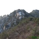 불광1-019 Daum카페
