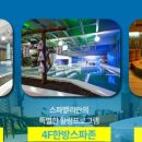 포레스트12 이미지