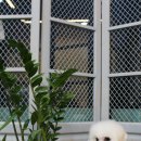 잇츠그루밍타임 이미지