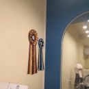 순독살롱 이미지