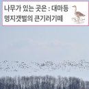 (1) 연말 배구대회 및 송년 총회 모습 (2) 639차(17.12.15) 산삼,구덕골 꽃마을 산행 이미지