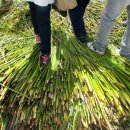 섬도마을회관 이미지