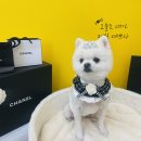 수원-0879 이미지