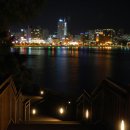 청정수풀 이미지