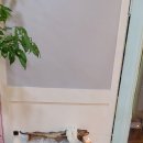 월드 전자 이미지