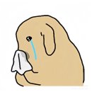 주)에스큐 | [250803] 인천펜타포트 락페스티벌 - 극동아시아타이거즈 3호선버터플라이 @송도달빛축제공원