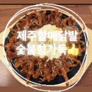 [ 제주 ] 제주여행 야식 추천 🌙 제주닭발맛집 할매닭발 제주직영점 솔직후기