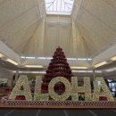 카할라 | 카할라 호텔 &amp; 리조트 숙박 후기 ㅣ 한적한 하와이에서 즐기는 프리미엄 휴식