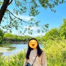 선데이79 이미지