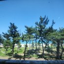 한화오션(주)지원센터식당 | 강릉 파머스키친 후기｜경포해수욕장 오션뷰 수제버거, 아이와 가기 좋았어요