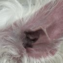 처음동물병원 이미지