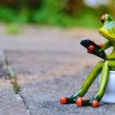 광지의원 이미지