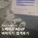 삼일산업 - 13061 | [자격증] ADsP 비전공자 벼락치기 후기