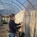 강천경로당 이미지