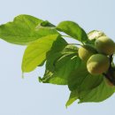 불광유치원 이미지