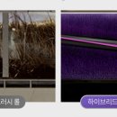 이가위헤어모드 네이버블로그