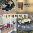 타로에빠져;봄 | [타로에 빠져 봄] 수비학과 타로의 만남 · 송천동 타로맛집