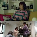 안수영농장 OSEN