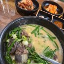 부산아지매국밥 명일역점 | [연산돼지국밥 맛집] “부산아지매국밥 연산점” 솔직후기 국물 생각날 때 찾고 싶은 곳