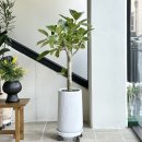 푸른길도서관 주차장 이미지