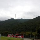 버섯랜드 이미지