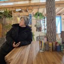미지니 이미지