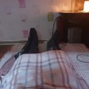 전통경락안마원 이미지