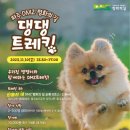 "DMZ 평화의 길 '댕댕이'와 함께 걸어요" … 파주시, 11일 반려견 동반 걷기 행사 이미지