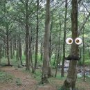 광무목장 이미지