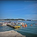 여기는 팔포항입니다 이미지